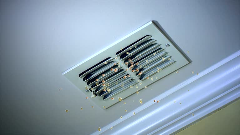 Air Duct Mold Removal in ND