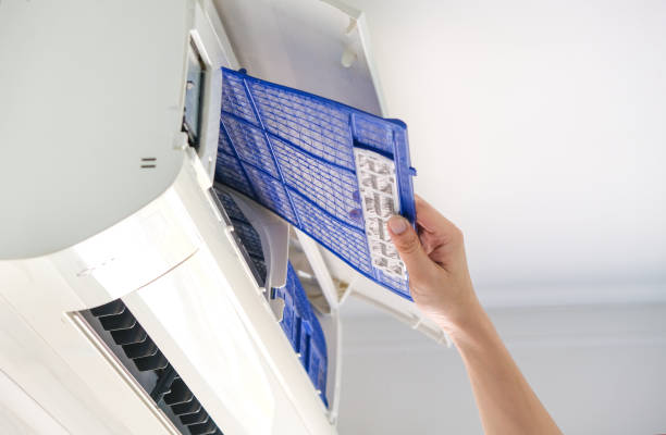 Best HVAC System Cleaning  in Rolla, ND