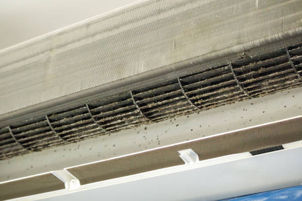 Best Commercial HVAC Duct Cleaning  in Rolla, ND